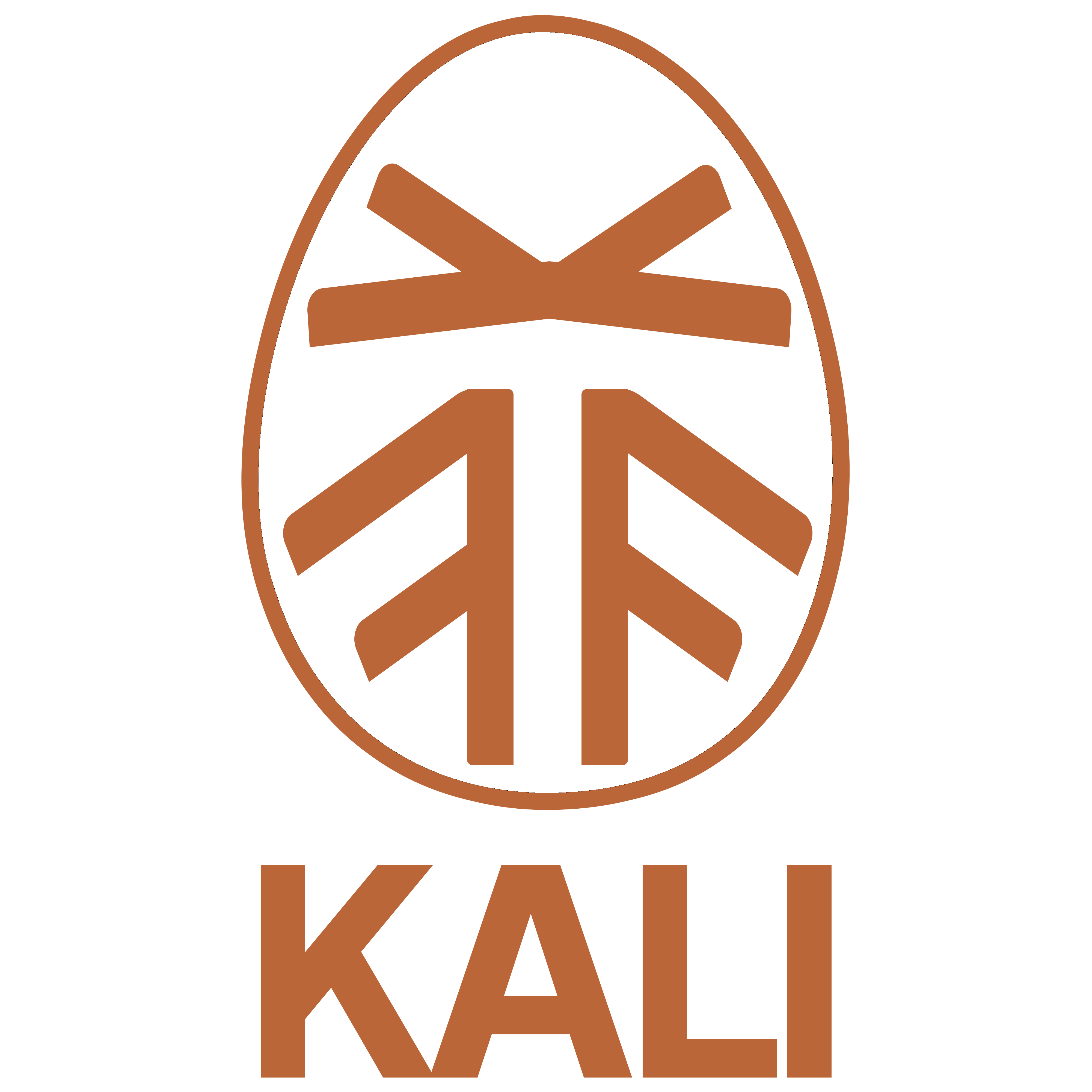 Kali Capital